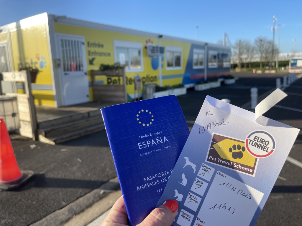 Channel tunnel or ferry: which is best? My dog and I&nbsp;decide