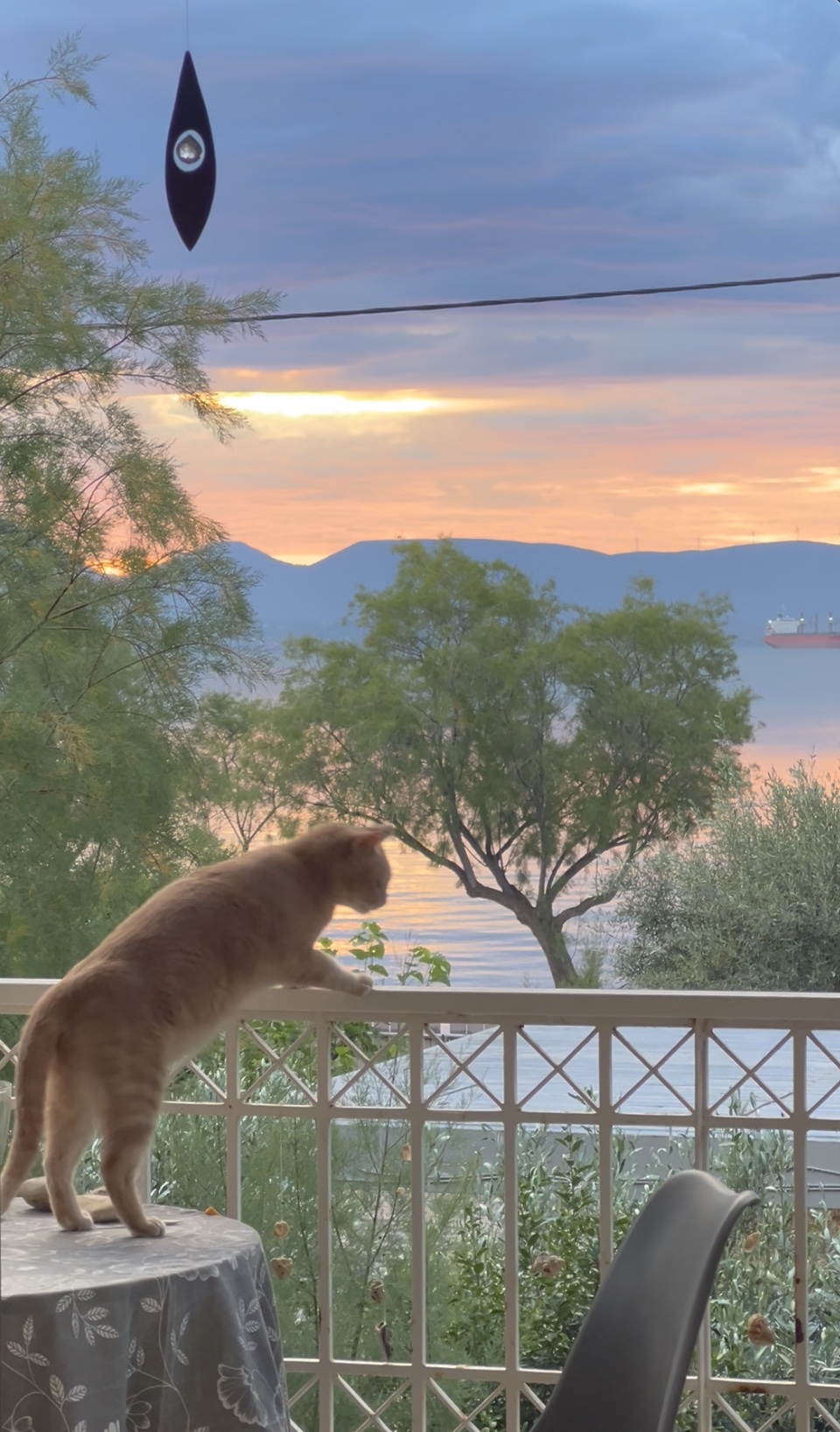 The magic of house sitting: one family’s slow-travel&nbsp;adventure